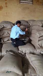 Poivre noir de qualité supérieure, origine Vietnam, séché, procédé AD, traitement brut, prix compétitif, nouvelle saison - Product Image 6