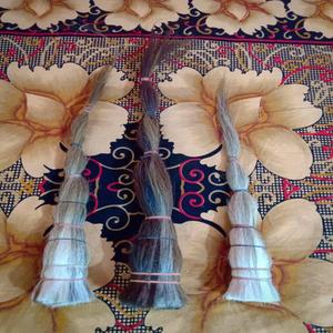 Cheveux de queue de cheval biologiques très demandés pour la création de pinceaux de peinture et de rasage de style animal, marque NOORBABA - Product Image 4