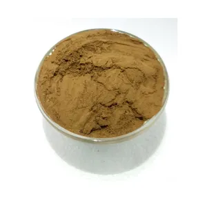 Wholesale Supplier of Good Quality Bulk Supply Pure and Natural Tulsi Extract Powder at Reliable Market Price