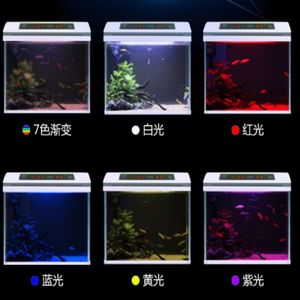 Bể Cá LED Loại 60Cm Bộ Lọc Trên Nhiệt Độ Không Đổi Long 50 Bể Nhỏ Kín Dọc Không Đục Lỗ Nước Vào Và Ra - Product Image 6