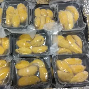 Voor Koop Maleisië Bevroren Mao Shan Wang D197 Durian Gouden Pulp Export