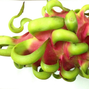 Fruit du Dragon frais du Vietnam de haute qualité/vacances - Product Image 1