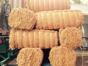 Red de fibra de coco, rollo de fibra de coco de Vietnam - Product Image 6