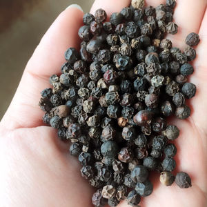 Pimienta Negra Seca Cruda AD de Vietnam, Marca Phalco, 50 kg, Precio 500-550GL - Product Image 1