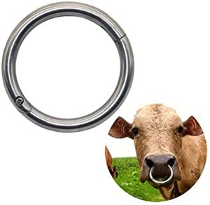 Anillo de toro de alta calidad, acero inoxidable, 3 pulgadas, con punto de piercing automático completo, cizalla de latón, alta calidad, superventas - Product Image 3