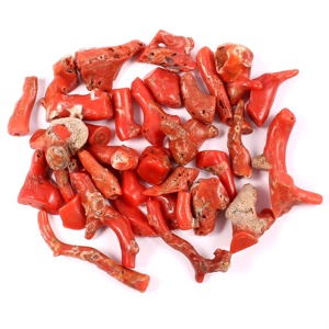 สาขาปะการังแดงอิตาลีอัญมณีขัดเงาแบบหลวมทำเครื่องประดับสร้อยคอ/สร้อยข้อมือคุณภาพเยี่ยมตามธรรมชาติ - Product Image 1