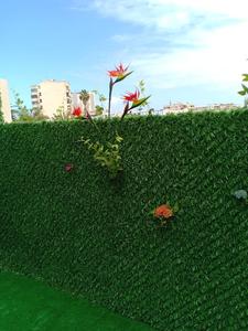 ¡Venta caliente! Paneles de valla de césped artificial para exteriores, fabricante europeo para muros y usos de privacidad Seguridad para jardín y hogar - Product Image 2