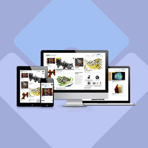 PHP Website Design & Development Company in India | Award Winning PHP Website Design & Development Services by Webroot Infosoft - Product Image 5