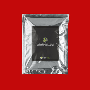 Engrais Biologique Fixateur d'Azote Azospirillum Marque IGC Pureté 100% Forme Poudre Origine Maharashtra Libération Rapide - Product Image 1