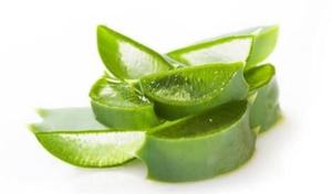 Aceite portador de gel de aloe vera prensado en frío para el cuidado de la piel Precio al por mayor - Product Image 2