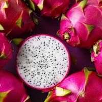 100% Natuurlijke Verse Dragon Fruit Wit & Rood Aanpasbare Maten Graad 1 500-800g HACCP Gecertificeerd Vietnam Viet Delta//NICKY