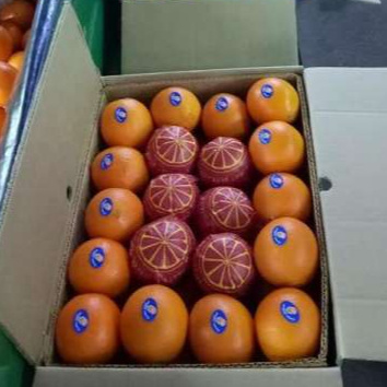 Апельсины Южной Африки/Свежий Оранжевый пупок/гибрид