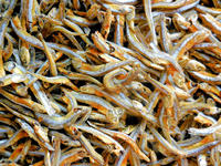 Meilleures ventes de poisson séché anchois du Vietnam - Meilleur prix, qualité supérieure, produits de la mer séchés // M. Alex Truong