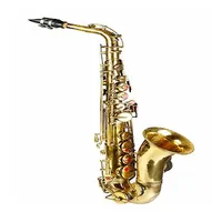 NASIR ALI NEW PROFESSIONAL Saxophone alto新しい真ちゅうと風の楽器真ちゅう色