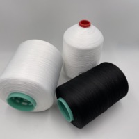 Fil à coudre élastique en polyester 100% polyester, 10 pièces, 6 fil à coudre pour maillots de bain, 150D 300D, 1 plis