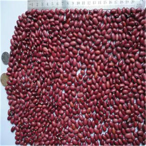 ขายถั่ว Vigna Adzuki ทั้งหมด - Product Image 2