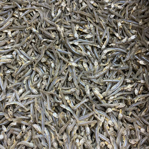 Dry <b>Sprats</b>/ Dry Silver Anchovy Export to Colombo - Product Image 1