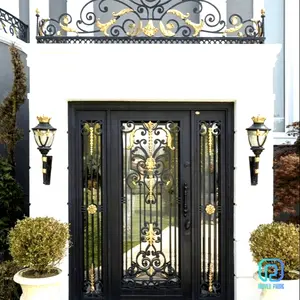 Puertas de hierro de lujo para casa moderna y clásica, puertas de entrada de Vietnam, puerta Interior de Metal, columpio, diseño de modelo 3D, hierro, acero
