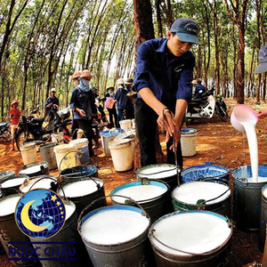 2024 Top bán cao chất lượng cao cao su thiên nhiên tấm cao su giá cả cạnh tranh với tùy chỉnh bao bì trực tiếp từ Việt Nam - Product Image 3