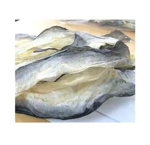 Produksi Kolagen dari Kulit Ikan Pangandy Kering Kualitas Tinggi Vietnam Harga Bagus