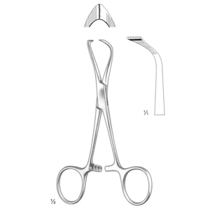 Serviette Forceps - Product Image 5