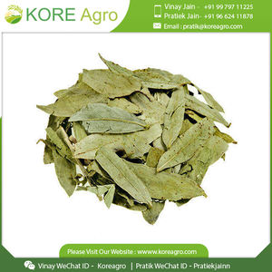 El mejor extracto de hierbas naturales de alta calidad Senna T Cut para la fabricación de té verde, cultivo salvaje, proveedor directo de la India - Product Image 2