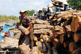 Charbon de bois de mangrove pour barbecue fabriqué à la main au Viet Nam - Product Image 5