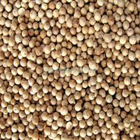 Vietnam's beste kwaliteit GMP-gecertificeerde gedroogde witte peper, 100% natuurlijke korrel, groothandelsprijs, gratis monster beschikbaar
