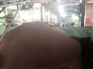 Pimienta Negra Cruda AD Seca de Alta Calidad Vietnamita - Precio Competitivo Desde Vietnam - Product Image 2