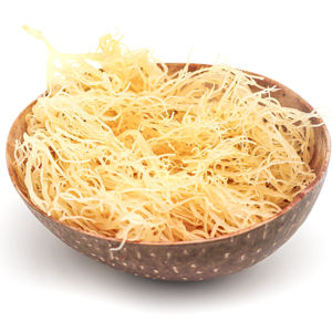 100% WILDCRAFTED SEA <b>MOSS</b>/ IRISH <b>MOSS</b> FROM VIETNAM WITH BEST QUALITY/ Ms. Lily - Product Image 1