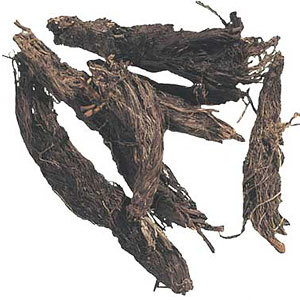 Aceite Esencial de Spikenard 100% Puro y Natural, Destilado al Vapor con Árbol de Té, Certificado GMP, AARNAV GLOBAL EXPORTS, Precio Competitivo - Product Image 5