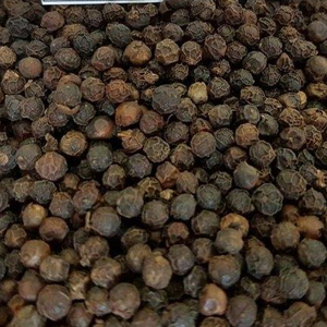ลดราคาพิเศษ พริกไทยดำเวียดนาม ราคา 570 กรัม/ลิตร คุณภาพพรีเมียม สะอาด ธรรมชาติ สำหรับส่งออก ขายส่ง และแปรรูปอาหาร - Product Image 2