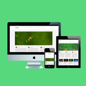 Wordpress CMS development Company in India | Wordpress Website Agency |Best Custom CMS Development Services by Webroot Infosoft - Product Image 4