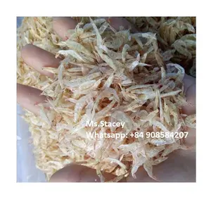 Proveedor Camarón Bebé Seco-Gambas Mejor Precio - Product Image 1