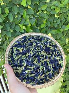 Produit de thé de pois papillon séché de haute qualité Fleur de pois papillon du Vietnam/ Shyn Tran - Product Image 2