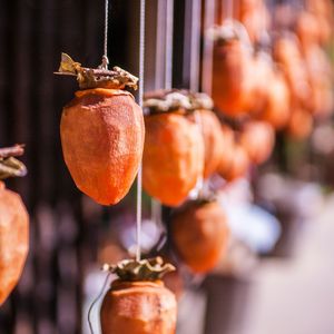 Top <b>Quality</b> Dried Persimmon 100% Natural Pure Fruit No Additives <b>Sweet</b> Healthy Snack - Product Image 4