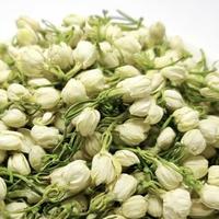 Fourniture de terres agricoles Fleurs de jasmin séchées pures Thé Nouveaux bourgeons de jasmin entiers parfumés