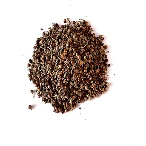 Indian Origin Premium Quality Herbal Seed Nirgundi (Vitex Negundo) For Sowing And Health Purpose