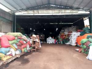 Pimienta Negra Phalco, Origen Vietnam, Seca, Cruda, 50 kg, Certificación HACCP, 24 Meses de Caducidad, Especia Individual - Product Image 3