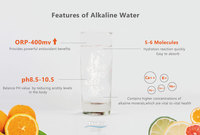 Ionizador de Agua Alcalina de Plástico para Montar en el Grifo, Modelo Japonés para Uso Doméstico, Purificador de Agua para el Hogar