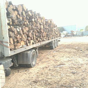 FIREWOOD ROUND <strong>LOGS</strong> From FIREWOOD BEECH ASH OAK LTD. BULGARIA - Product Image 1