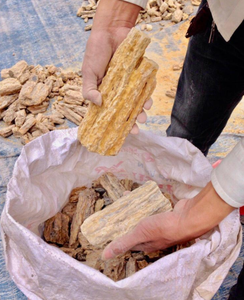 Alta calidad DAMAR BATU de VIETNAM proveedor - Product Image 3