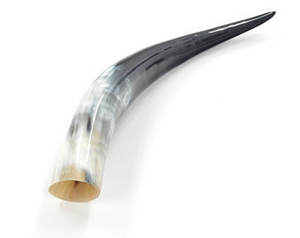 Corne décorative en forme de citrouille, style européen, pour le restaurant, la maison et le mur, taille personnalisée à vendre - Product Image 5