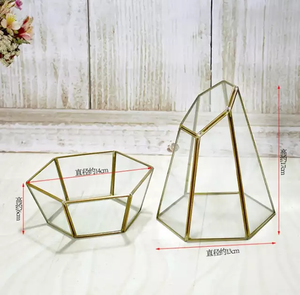 Terrarium géométrique en verre avec couvercle pour décoration végétale - Product Image 2