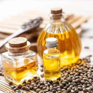 Huile de Ricin (Graines) Certifiée GMP, Pressée à Froid, pour la Stimulation de la Croissance Tissulaire, Origine Inde - Product Image 1