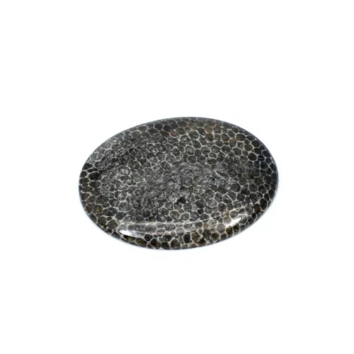 Cabujón ovalado de Coral negro Natural, Gema suelta de 33,35 Cts, 34x26mm