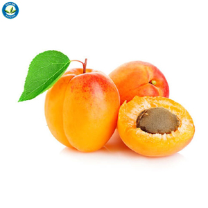 100% Pure huile de noyau d'abricot pressée à froid pour la peau, les cheveux et le massage fournisseur en vrac, bio, prix de gros - Product Image 2