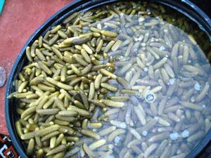 Cornichons et gherkins dans de l'acide acétique |   Concombres marinés de qualité supérieure dans du vinaigre |   Fournisseur d'exportation en gros - Product Image 5