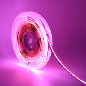 Sáng Cao 240LEDs/M Linh Hoạt <span class=keywords><strong>LED</strong></span> Rope Ribbon Tape Ánh Sáng Đèn Ấm Trắng Xanh 6000K DC12V 24V 2835 <span class=keywords><strong>LED</strong></span> Strip Lights - Product Image 5