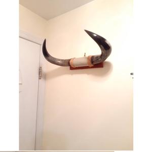 Corne artisanale en forme de mouton, 1 pièce, articles décoratifs de qualité supérieure, corne de citrouille, yemanti pour la vente - Product Image 5